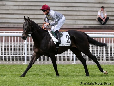 Haras de Bouquetot's Al Wukair off the mark as Curaro Light  ... Image 2